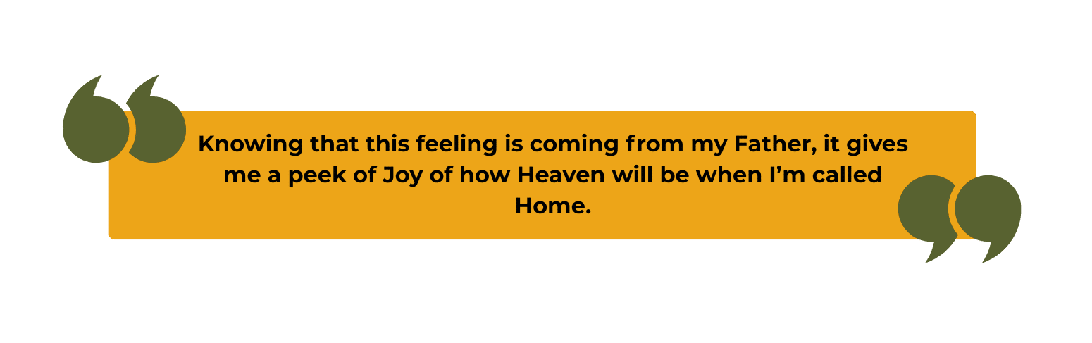 Inspirational quote from Jim Labenz about joy in serving God and glimpsing Heaven